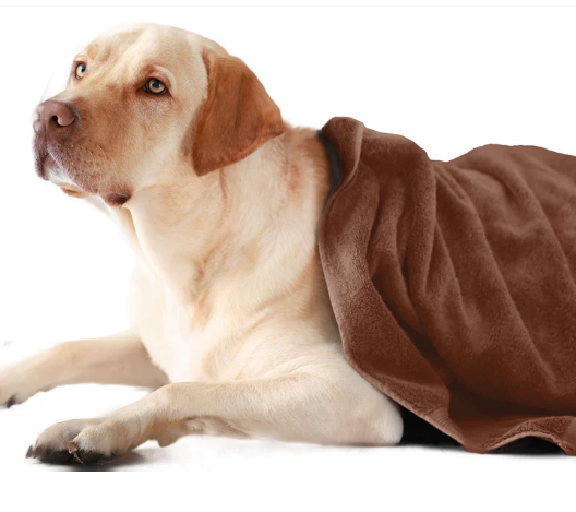 How To Choose The Perfect Pet Towel Essential Tips For Every Pet Parent