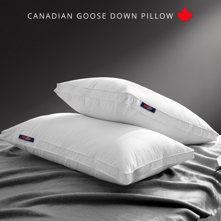 Deslay Canadian Goose Down Feather Pillow