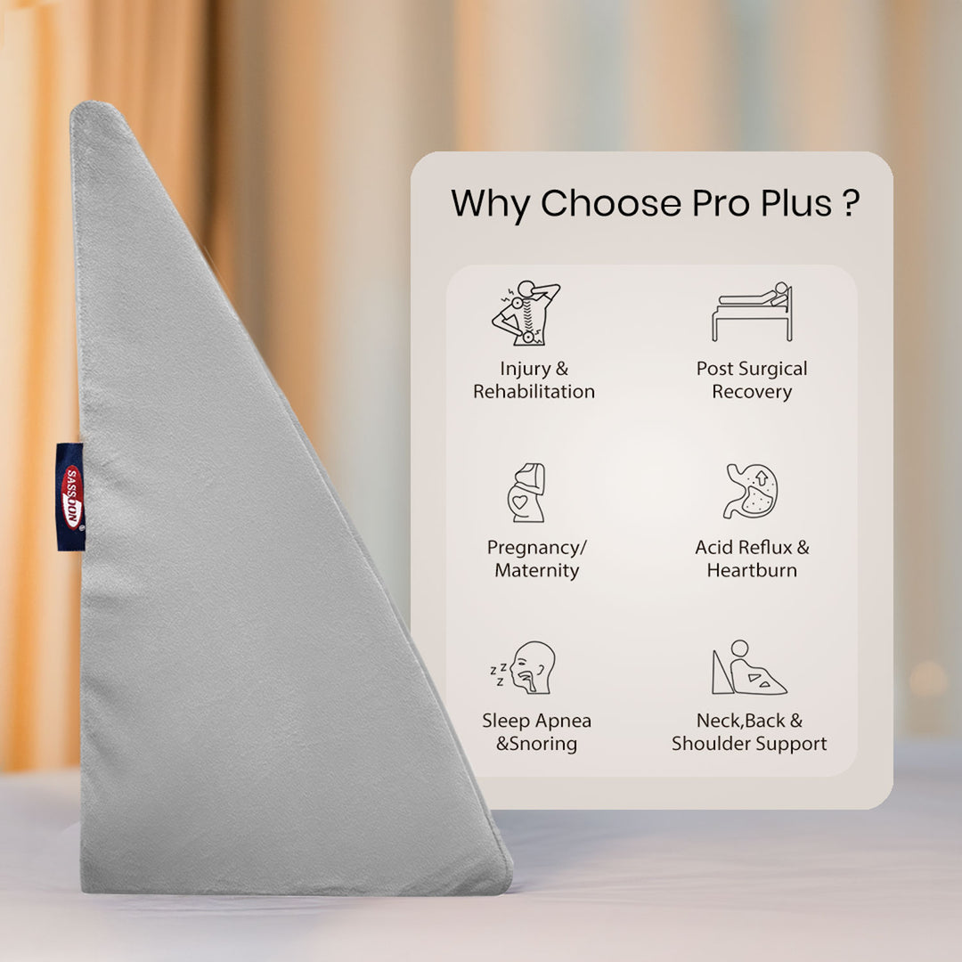 Anatolia Wedge Pillow