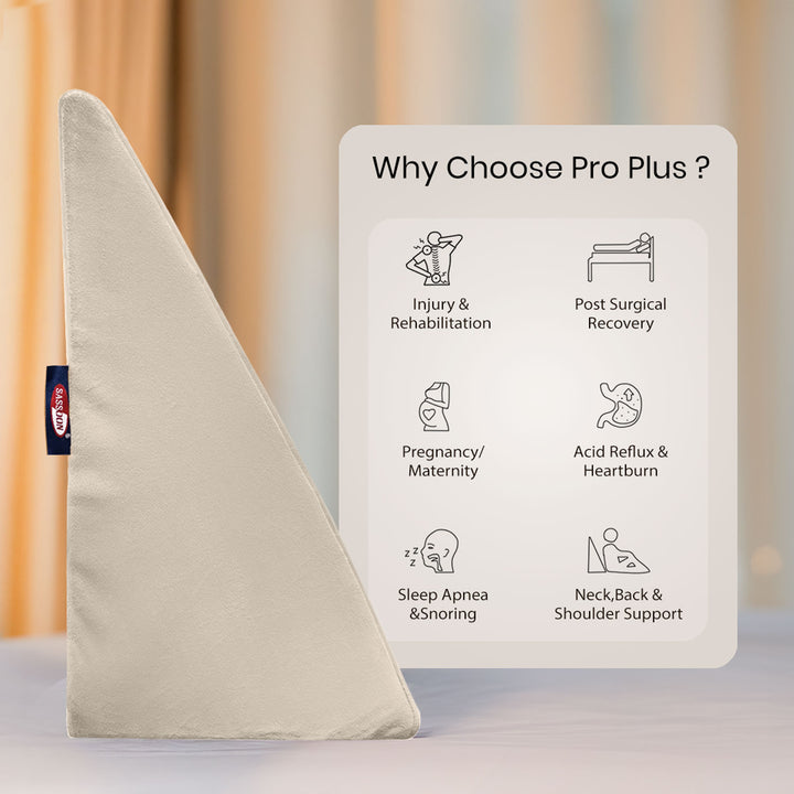 Anatolia Wedge Pillow