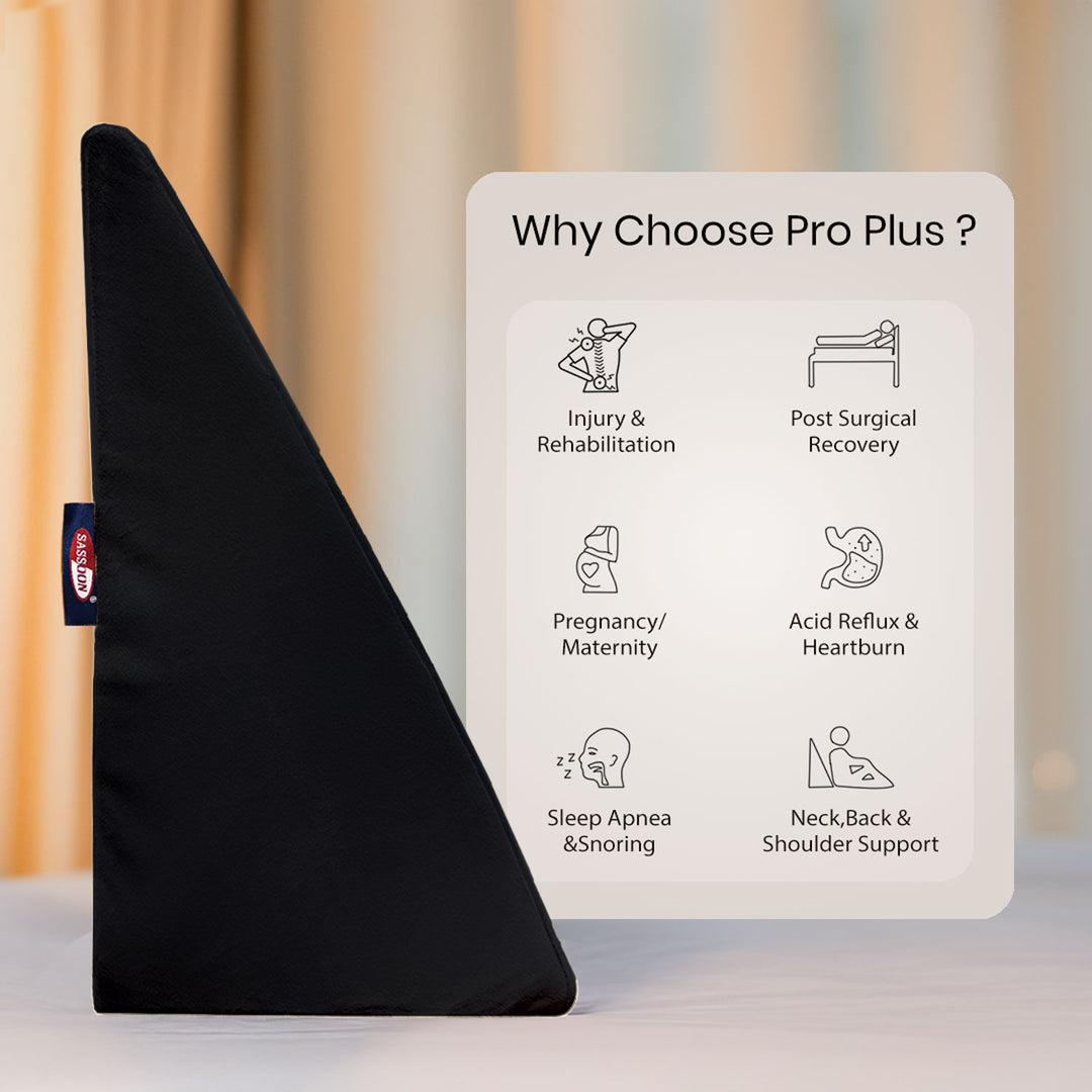 Anatolia Wedge Pillow