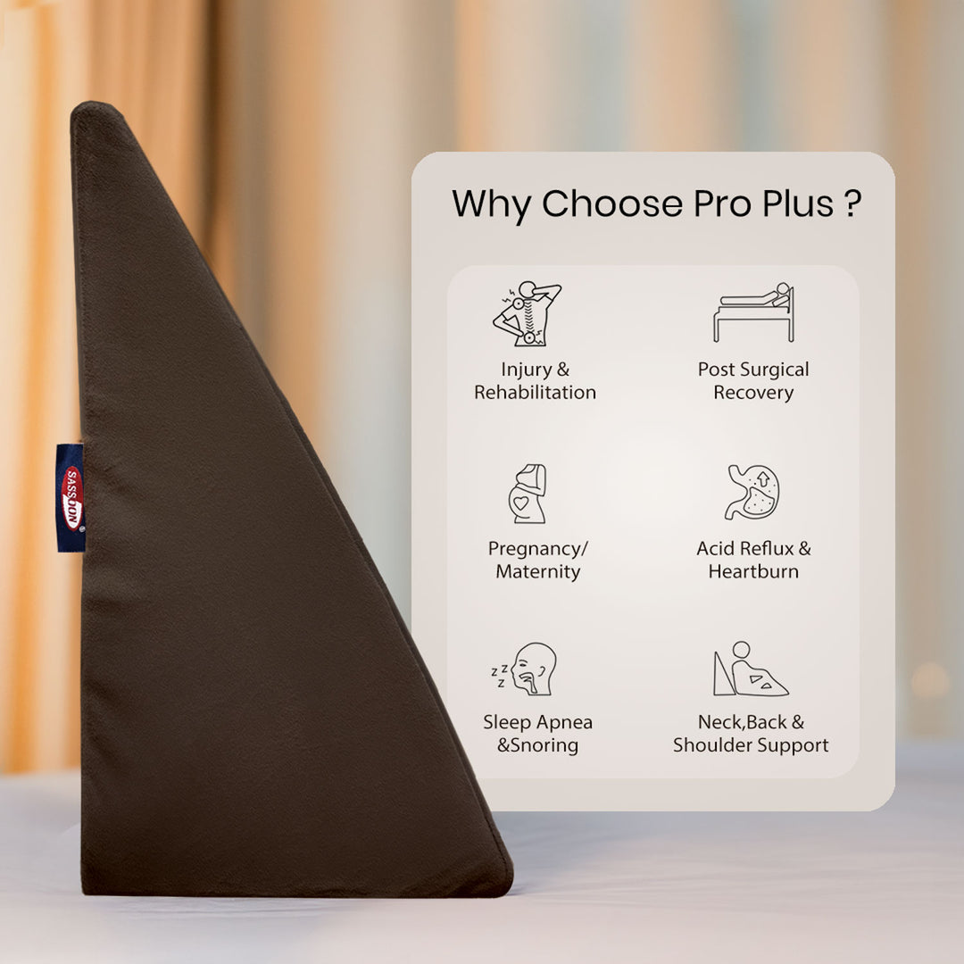 Anatolia Wedge Pillow