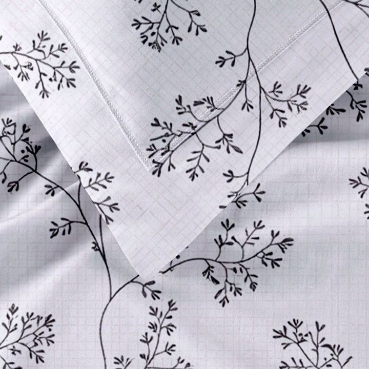 Anatolia Home 100% Cotton Printed Bedsheet - 300 TC