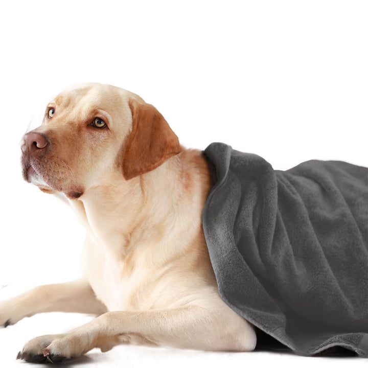 Grey Color Ultra Soft Microfiber Pet Towel 