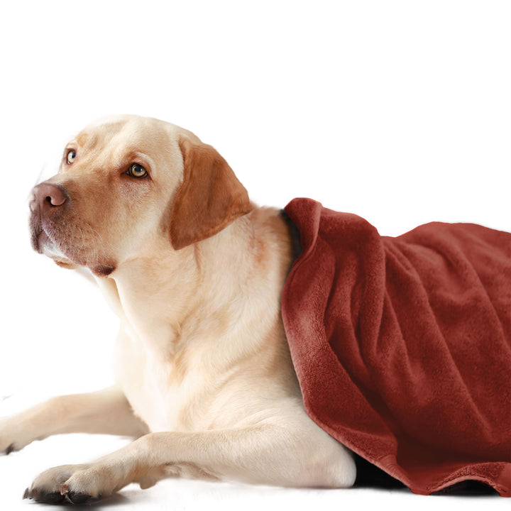 Rust Color Ultra Soft Microfiber Pet Towel