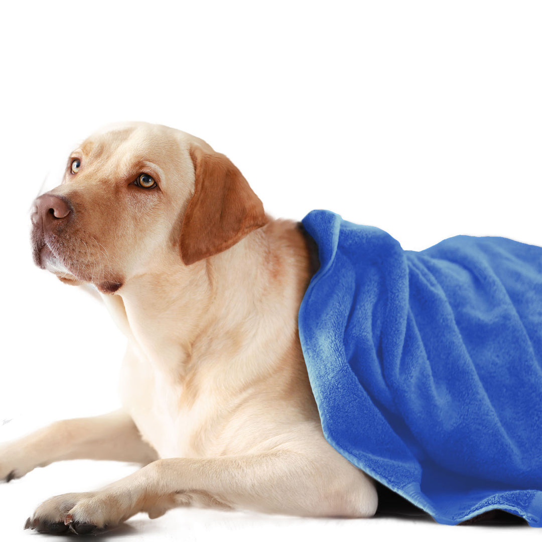 Blue Color Ultra Soft Microfiber Pet Towel  - 40cm X 60cm