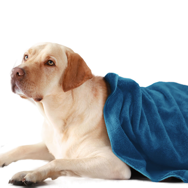 Blue Color Ultra Soft Microfiber Pet Towel