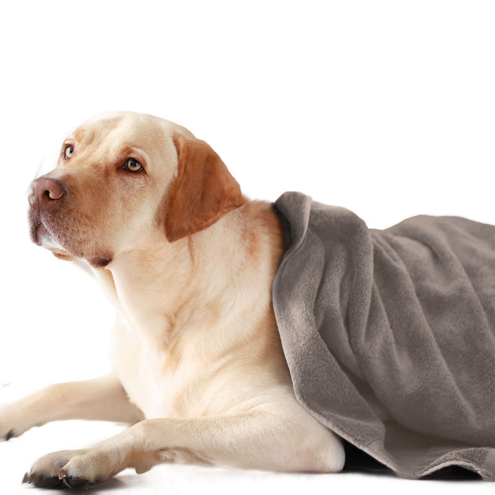 ULTRA SOFT MICROFIBER PET TOWEL (Medium)