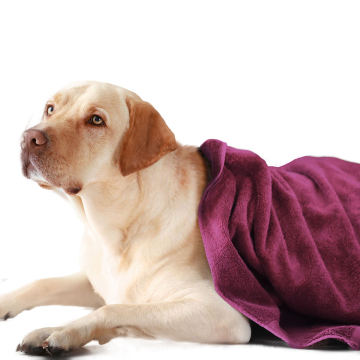 ULTRA SOFT MICROFIBER PET TOWEL (Medium)