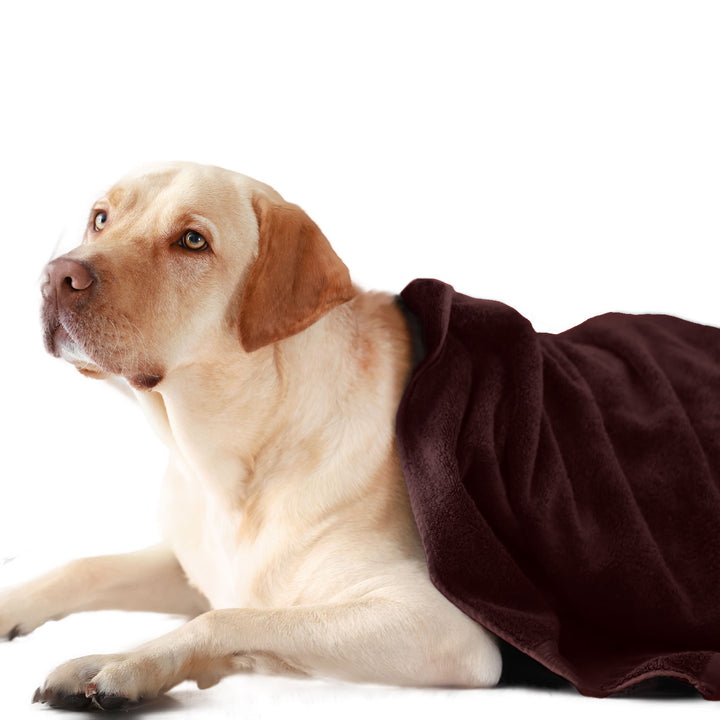 Brown Color Ultra Soft Microfiber Pet Towel