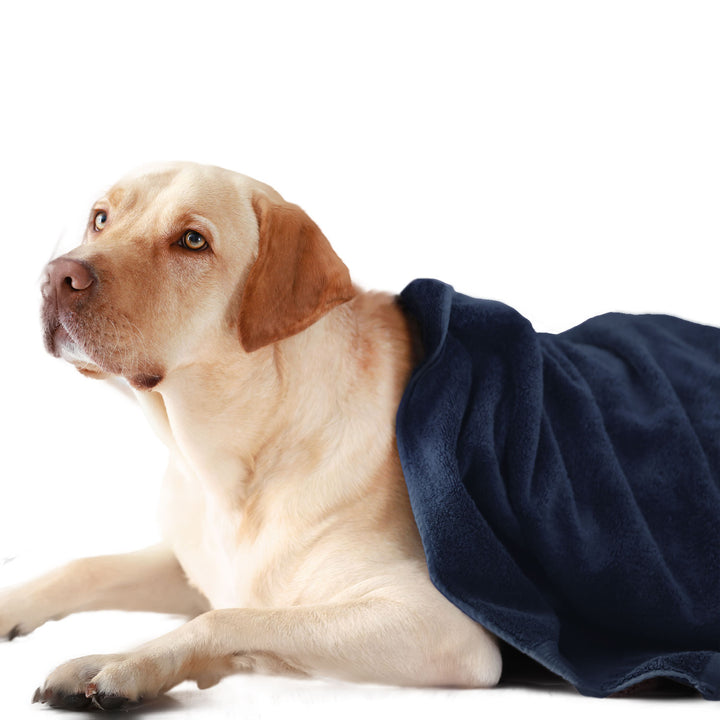 Blue Color Ultra Soft Microfiber Pet Towel