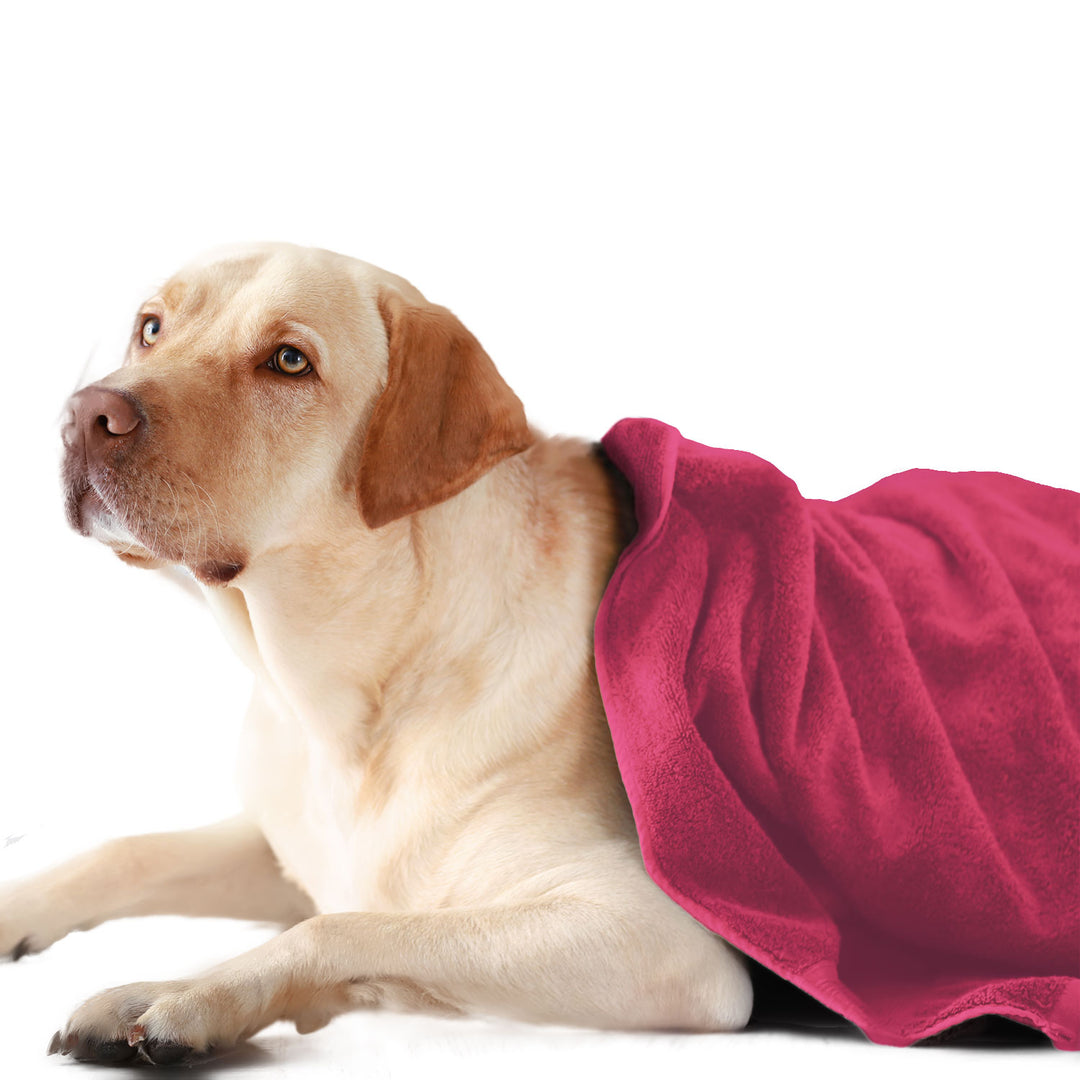 Pink Color Ultra Soft Microfiber Pet Towel