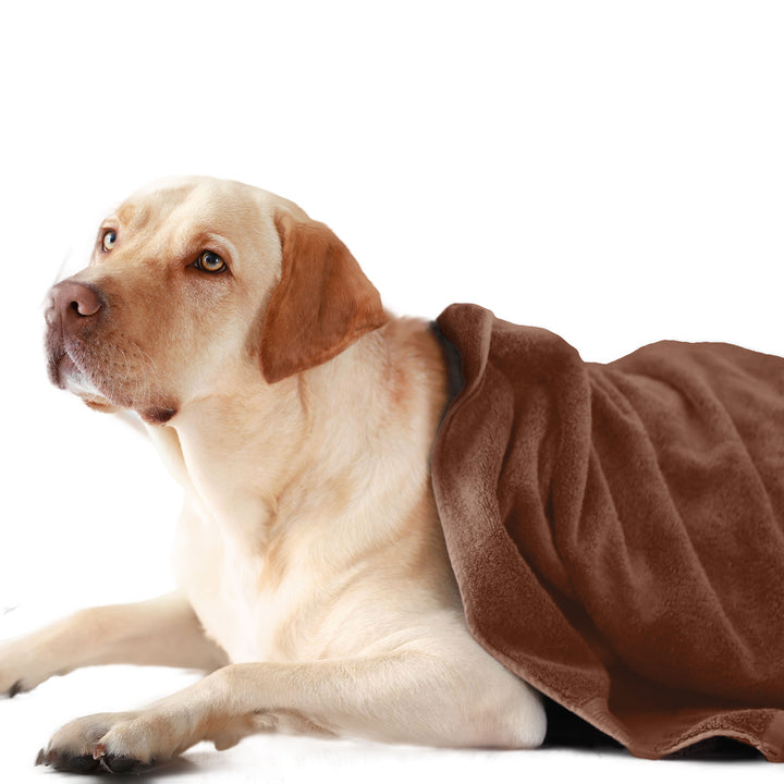 Brown Color Ultra Soft Microfiber Pet Towel