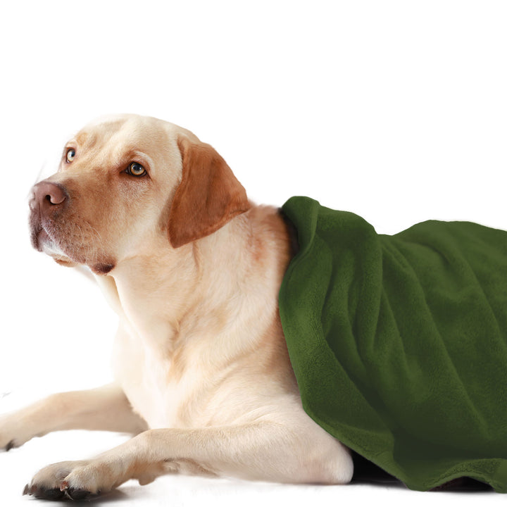 Green Color Ultra Soft Microfiber Pet Towel