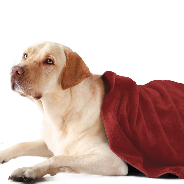 Red Color Ultra Soft Microfiber Pet Towel