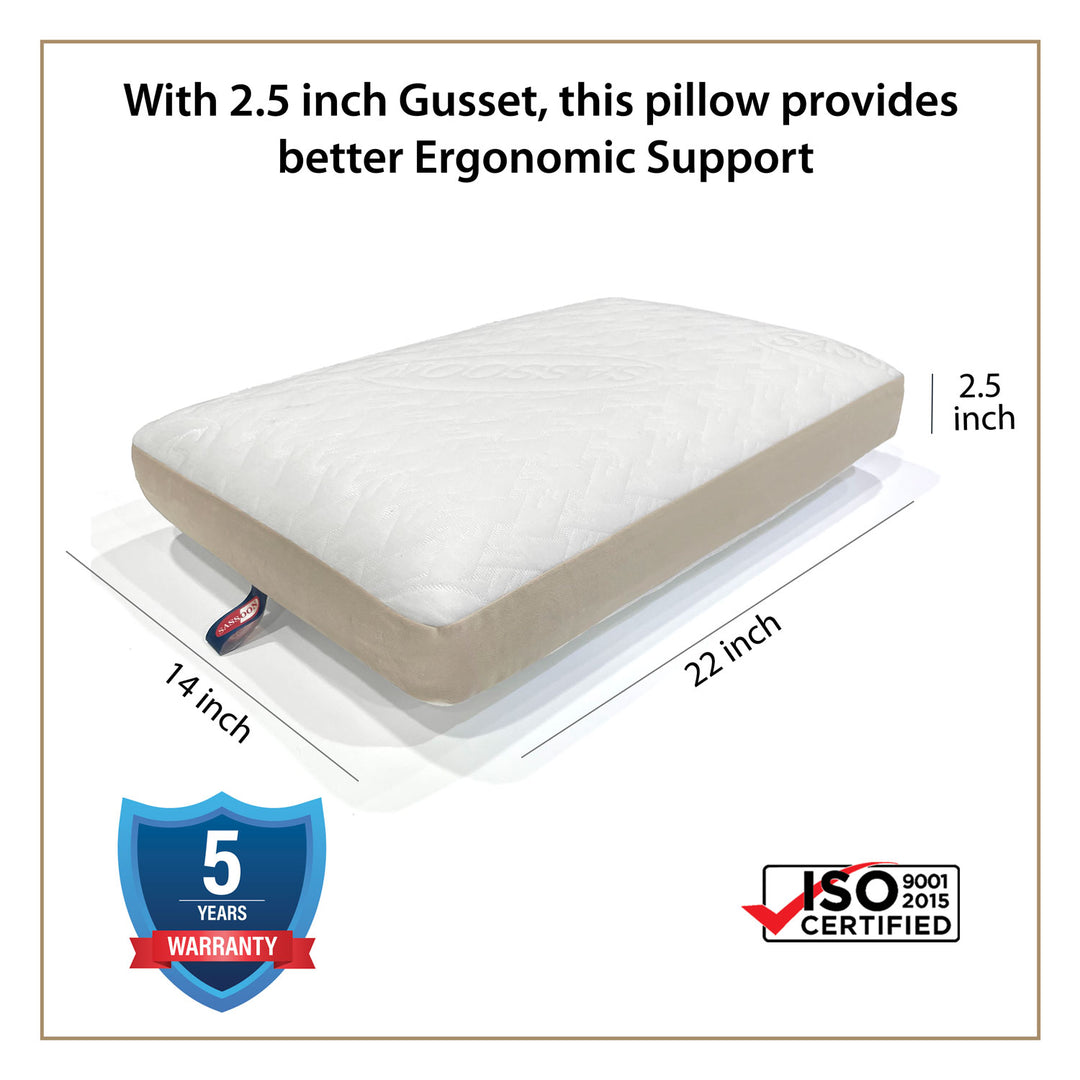 Soft Gusseted Memory Foam Pillow with removable and washable cover. ( Hypoallergenic, dust and mite resistant, ergonomic support, soft and breathable) 