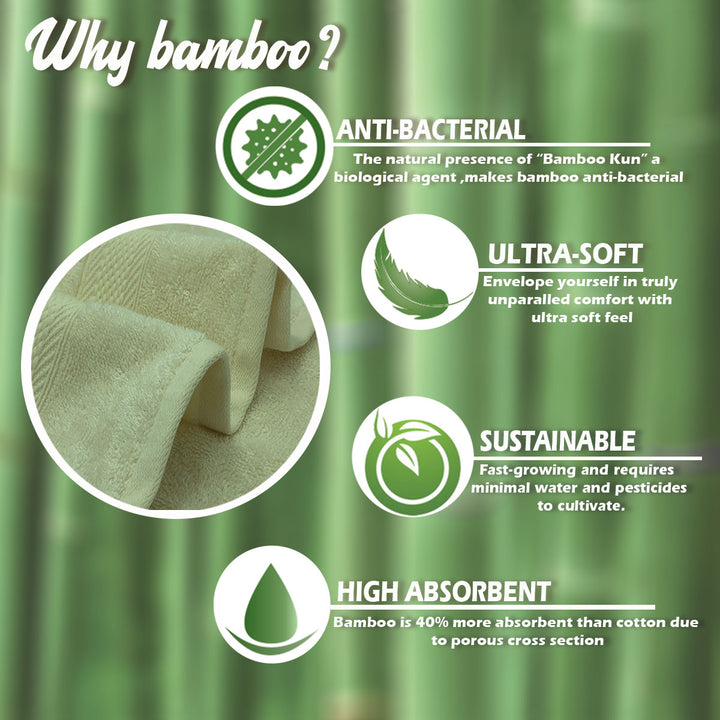 Spur Bamboo Towel in 525 GSM