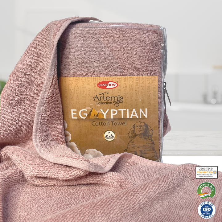 Artemis Egyptian Cotton Hand Towel Pack in 650 GSM