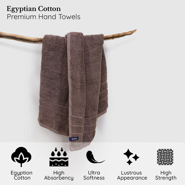Artemis Egyptian Cotton Hand Towel Pack in 650 GSM